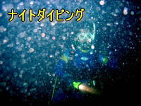 神秘な夜の海を体験