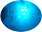�c�A�[���|�[�g