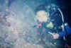 �_�C�r���O�c�A�[