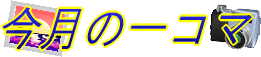 �����̈�R�}