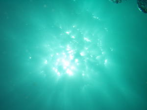 でも水中からの太陽は綺麗でした。