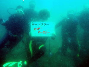 �M�����u���[